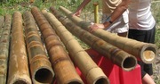 Бамбуковый ствол,  бамбуковая мебель